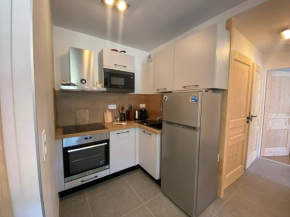 Appartement neuf 2 chambres, parking inclus, proche bus gratuit - FR-1-356-531